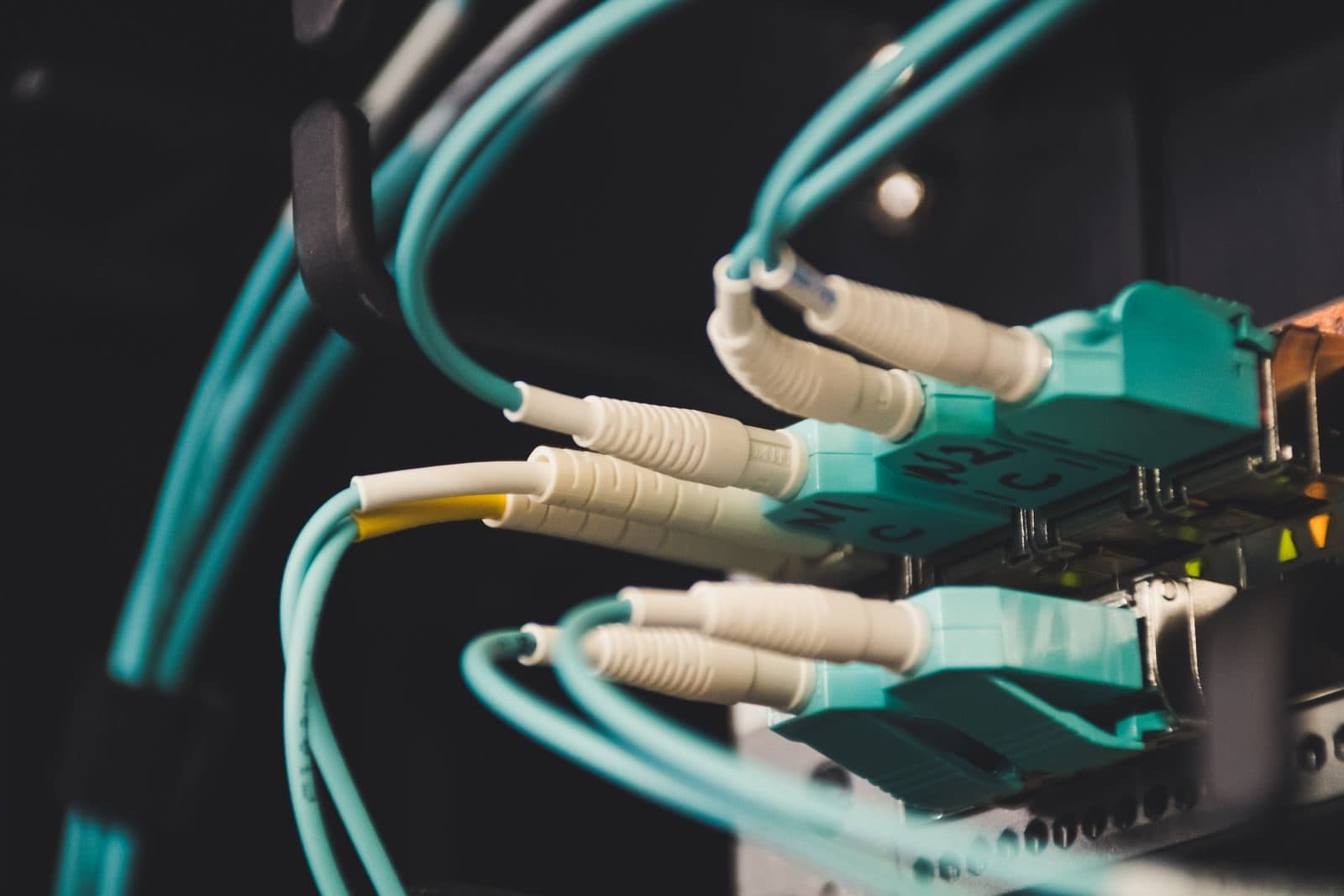 Close-up of fiber optic cables plugged into a server rack